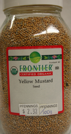 Mustard Seed Yellow - Whole
